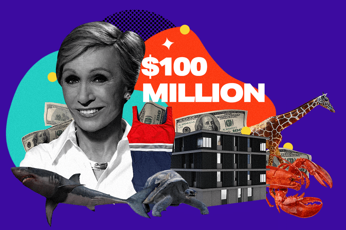 Rich Dudes│Barbara Corcoran's Net Worth, a Rags-to-Riches Fairy Tale