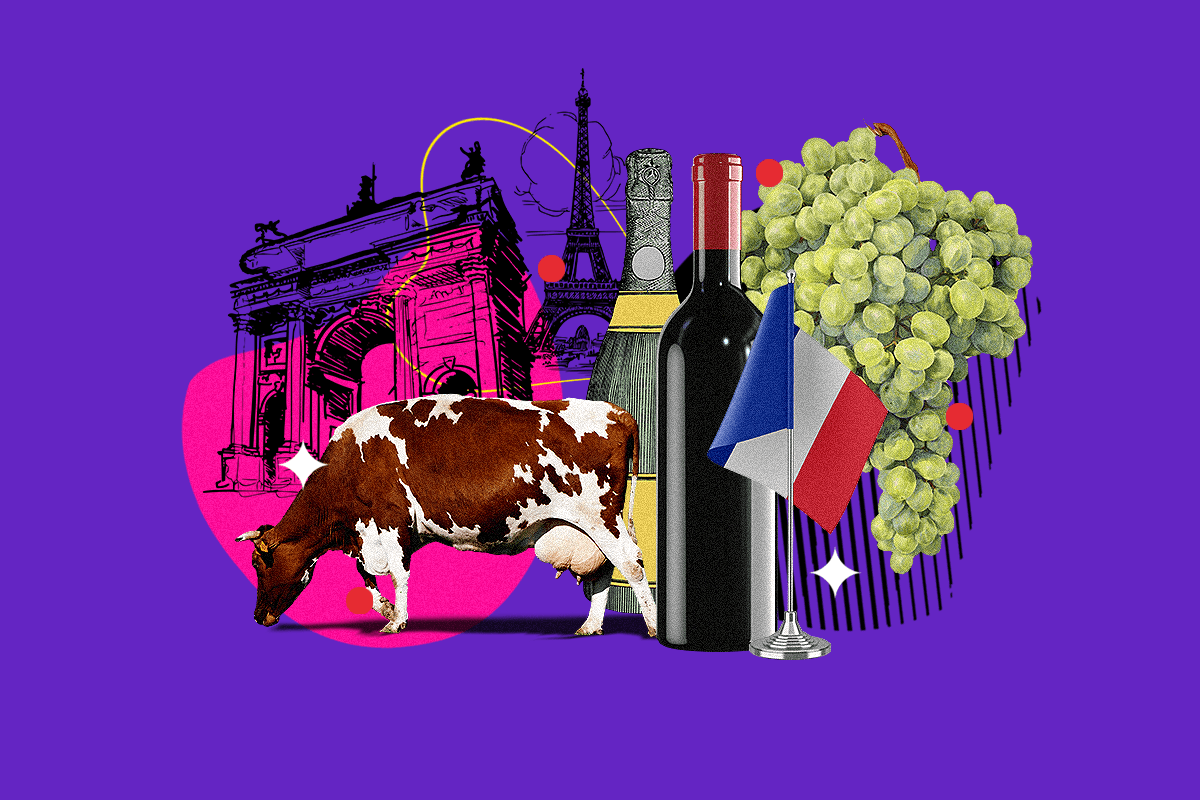 Best Burgundy Wines to Pair With Your Investment Portfolio