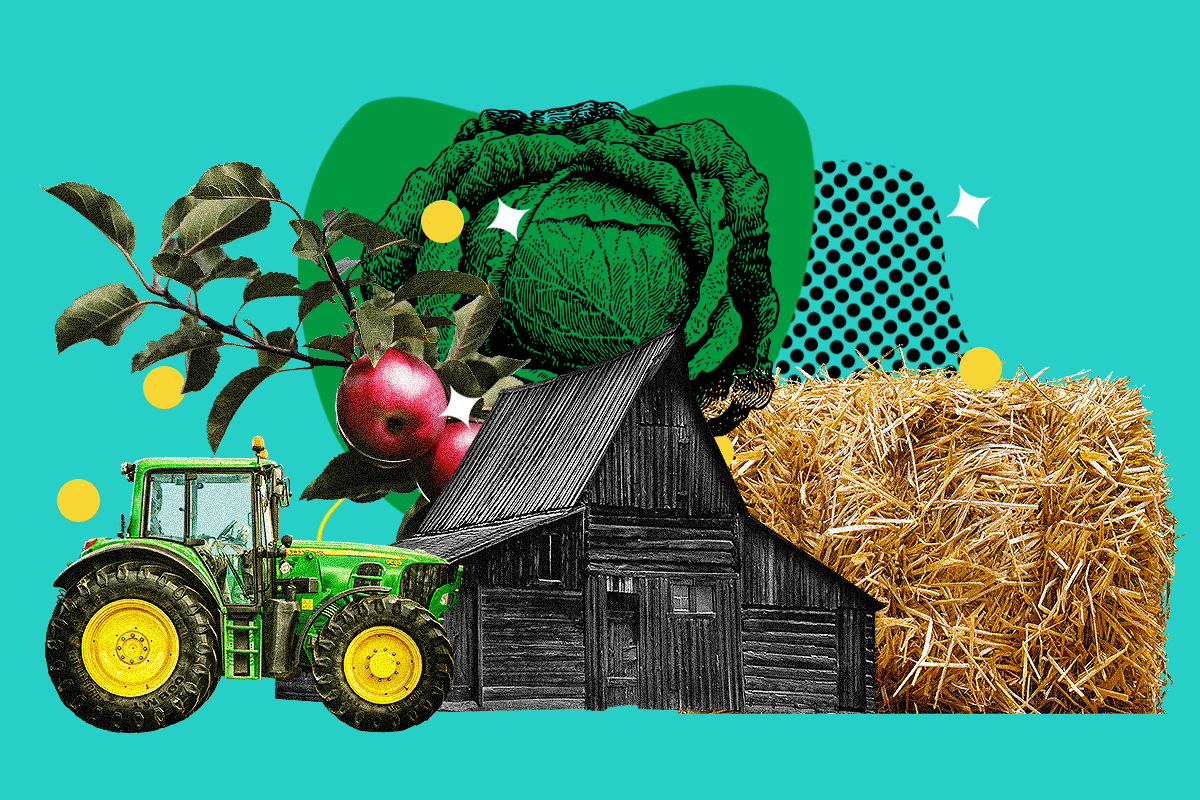 Agricultural Real Estate: These Are the Best Farmland REITs