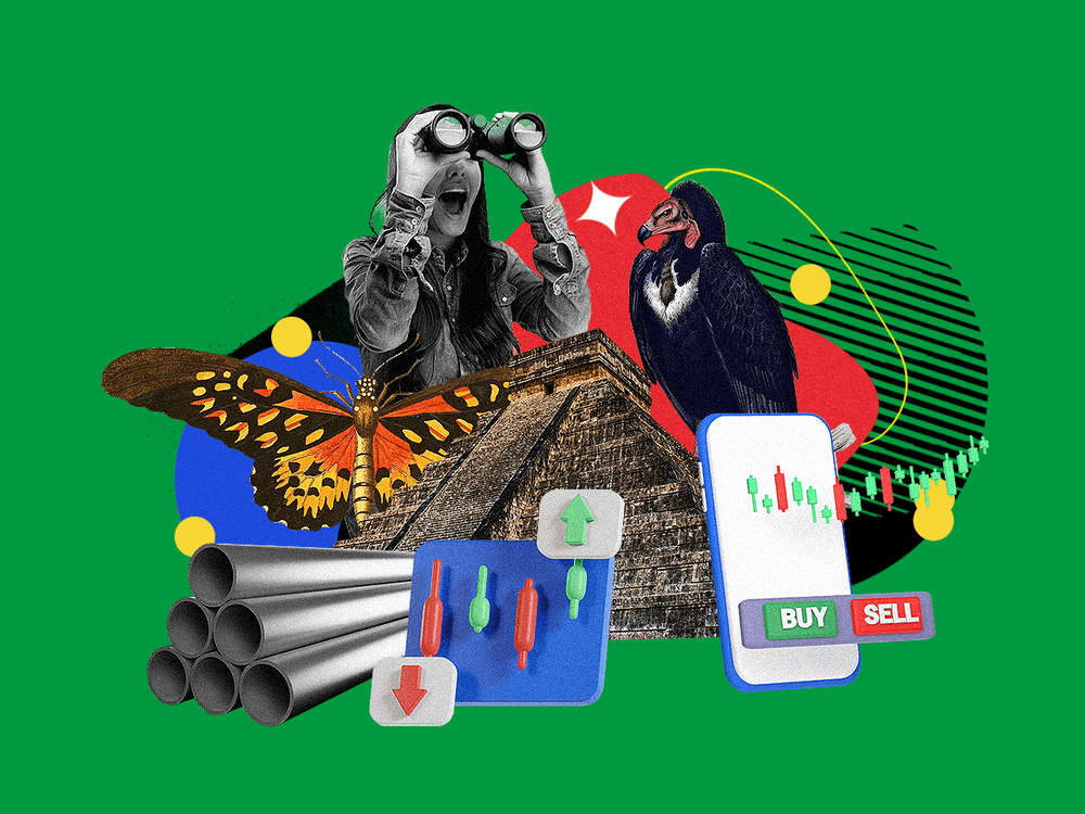 Ironclad: How to Use The Iron Butterfly vs Iron Condor Options Strategies