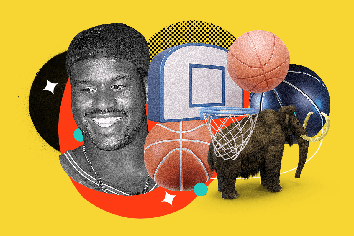 Top Eight Shaq Rookie Cards To Invest In