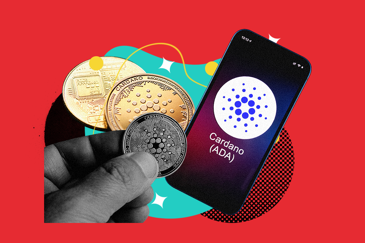 Cardano banner image